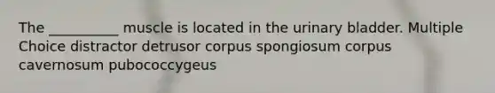 The __________ muscle is located in the urinary bladder. Multiple Choice distractor detrusor corpus spongiosum corpus cavernosum pubococcygeus