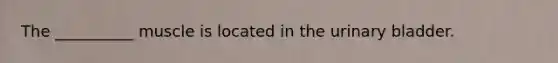 The __________ muscle is located in the urinary bladder.