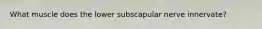 What muscle does the lower subscapular nerve innervate?