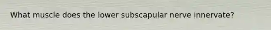 What muscle does the lower subscapular nerve innervate?