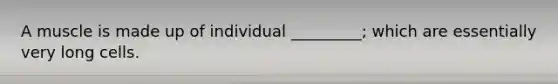 A muscle is made up of individual _________; which are essentially very long cells.