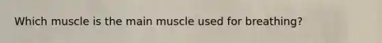 Which muscle is the main muscle used for​ breathing?