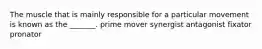 The muscle that is mainly responsible for a particular movement is known as the _______. prime mover synergist antagonist fixator pronator