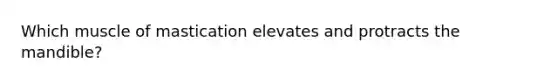 Which muscle of mastication elevates and protracts the mandible?