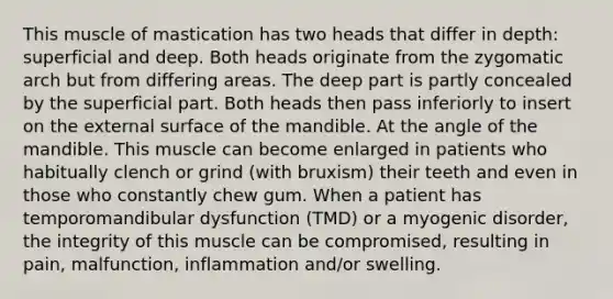This muscle of mastication has two heads that differ in depth: superficial and deep. Both heads originate from the zygomatic arch but from differing areas. The deep part is partly concealed by the superficial part. Both heads then pass inferiorly to insert on the external surface of the mandible. At the angle of the mandible. This muscle can become enlarged in patients who habitually clench or grind (with bruxism) their teeth and even in those who constantly chew gum. When a patient has temporomandibular dysfunction (TMD) or a myogenic disorder, the integrity of this muscle can be compromised, resulting in pain, malfunction, inflammation and/or swelling.