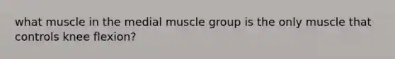 what muscle in the medial muscle group is the only muscle that controls knee flexion?