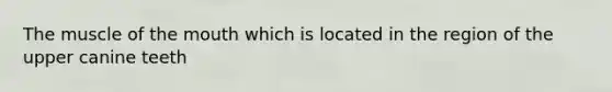 The muscle of the mouth which is located in the region of the upper canine teeth