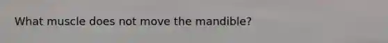 What muscle does not move the mandible?