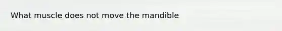 What muscle does not move the mandible