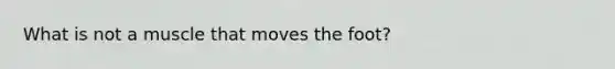 What is not a muscle that moves the foot?