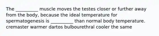 The __________ muscle moves the testes closer or further away from the body, because the ideal temperature for spermatogenesis is __________ than normal body temperature. cremaster warmer dartos bulbourethral cooler the same