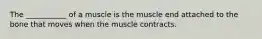 The ___________ of a muscle is the muscle end attached to the bone that moves when the muscle contracts.