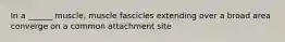 In a ______ muscle, muscle fascicles extending over a broad area converge on a common attachment site