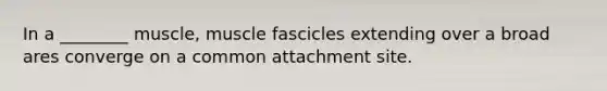 In a ________ muscle, muscle fascicles extending over a broad ares converge on a common attachment site.