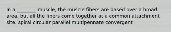 In a ________ muscle, the muscle fibers are based over a broad area, but all the fibers come together at a common attachment site. spiral circular parallel multipennate convergent