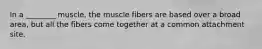 In a ________ muscle, the muscle fibers are based over a broad area, but all the fibers come together at a common attachment site.