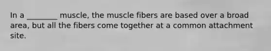 In a ________ muscle, the muscle fibers are based over a broad area, but all the fibers come together at a common attachment site.