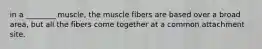 in a ________ muscle, the muscle fibers are based over a broad area, but all the fibers come together at a common attachment site.