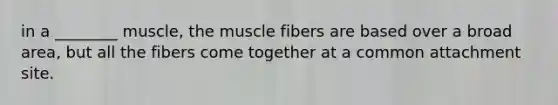 in a ________ muscle, the muscle fibers are based over a broad area, but all the fibers come together at a common attachment site.