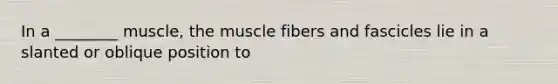 In a ________ muscle, the muscle fibers and fascicles lie in a slanted or oblique position to