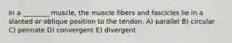 In a ________ muscle, the muscle fibers and fascicles lie in a slanted or oblique position to the tendon. A) parallel B) circular C) pennate D) convergent E) divergent