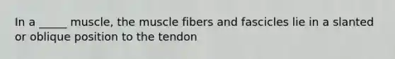 In a _____ muscle, the muscle fibers and fascicles lie in a slanted or oblique position to the tendon