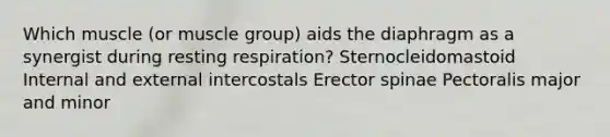 Which muscle (or muscle group) aids the diaphragm as a synergist during resting respiration? Sternocleidomastoid Internal and external intercostals Erector spinae Pectoralis major and minor