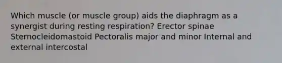 Which muscle (or muscle group) aids the diaphragm as a synergist during resting respiration? Erector spinae Sternocleidomastoid Pectoralis major and minor Internal and external intercostal