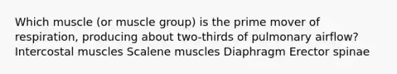 Which muscle (or muscle group) is the prime mover of respiration, producing about two-thirds of pulmonary airflow? Intercostal muscles Scalene muscles Diaphragm Erector spinae