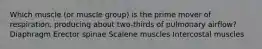 Which muscle (or muscle group) is the prime mover of respiration, producing about two-thirds of pulmonary airflow? Diaphragm Erector spinae Scalene muscles Intercostal muscles