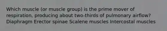 Which muscle (or muscle group) is the prime mover of respiration, producing about two-thirds of pulmonary airflow? Diaphragm Erector spinae Scalene muscles Intercostal muscles