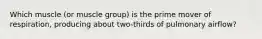 Which muscle (or muscle group) is the prime mover of respiration, producing about two-thirds of pulmonary airflow?