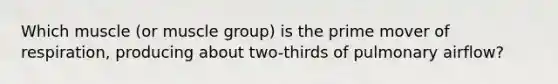 Which muscle (or muscle group) is the prime mover of respiration, producing about two-thirds of pulmonary airflow?