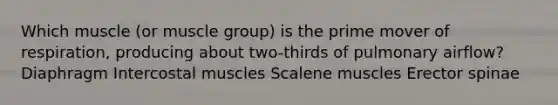 Which muscle (or muscle group) is the prime mover of respiration, producing about two-thirds of pulmonary airflow? Diaphragm Intercostal muscles Scalene muscles Erector spinae