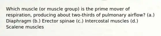 Which muscle (or muscle group) is the prime mover of respiration, producing about two-thirds of pulmonary airflow? (a.) Diaphragm (b.) Erector spinae (c.) Intercostal muscles (d.) Scalene muscles