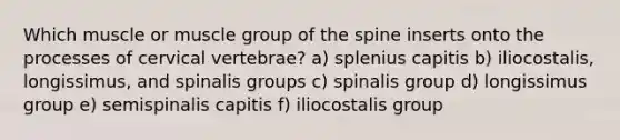 Which muscle or muscle group of the spine inserts onto the processes of cervical vertebrae? a) splenius capitis b) iliocostalis, longissimus, and spinalis groups c) spinalis group d) longissimus group e) semispinalis capitis f) iliocostalis group