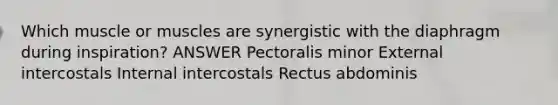 Which muscle or muscles are synergistic with the diaphragm during inspiration? ANSWER Pectoralis minor External intercostals Internal intercostals Rectus abdominis