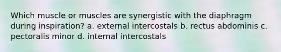 Which muscle or muscles are synergistic with the diaphragm during inspiration? a. external intercostals b. rectus abdominis c. pectoralis minor d. internal intercostals