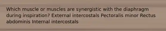 Which muscle or muscles are synergistic with the diaphragm during inspiration? External intercostals Pectoralis minor Rectus abdominis Internal intercostals