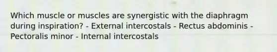 Which muscle or muscles are synergistic with the diaphragm during inspiration? - External intercostals - Rectus abdominis - Pectoralis minor - Internal intercostals