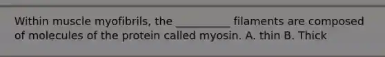 Within muscle myofibrils, the __________ filaments are composed of molecules of the protein called myosin. A. thin B. Thick