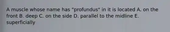 A muscle whose name has "profundus" in it is located A. on the front B. deep C. on the side D. parallel to the midline E. superficially