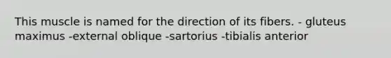 This muscle is named for the direction of its fibers. - gluteus maximus -external oblique -sartorius -tibialis anterior