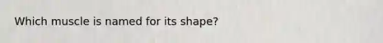 Which muscle is named for its shape?