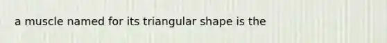 a muscle named for its triangular shape is the