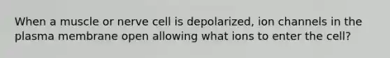 When a muscle or nerve cell is depolarized, ion channels in the plasma membrane open allowing what ions to enter the cell?