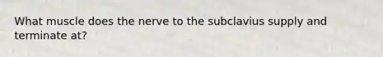 What muscle does the nerve to the subclavius supply and terminate at?