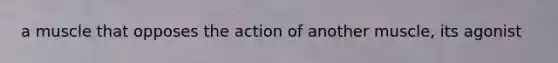 a muscle that opposes the action of another muscle, its agonist