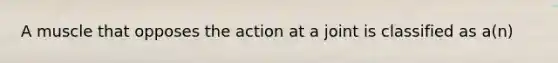 A muscle that opposes the action at a joint is classified as a(n)