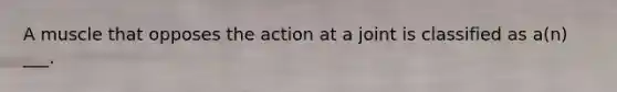 A muscle that opposes the action at a joint is classified as a(n) ___.